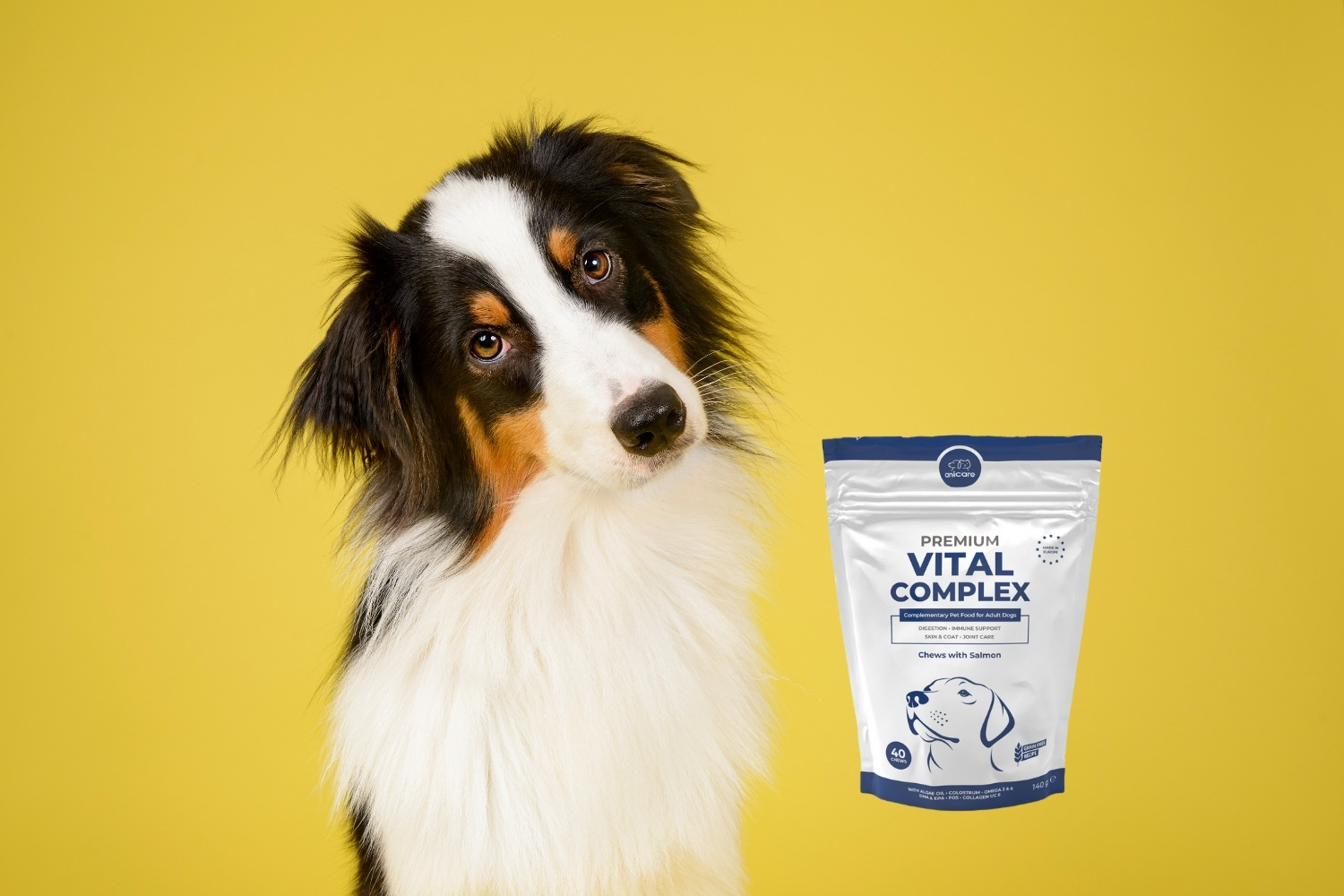 Chien à côté d'une boîte de Premium Vital Complex d'Anicare