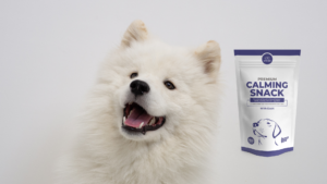 chien blanc avec le snack calmant premium