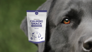 Premium Calming Snack avec chien