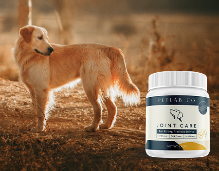 Petlab Joint Care