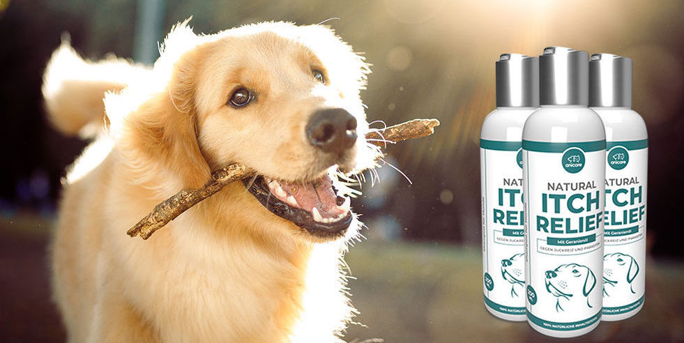 Natural Itch Relief shampoo - chien avec un bâton